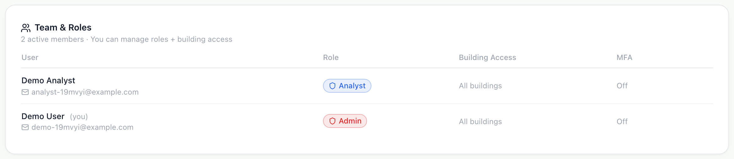 Team & Roles listing two members: the owner and the new Analyst.